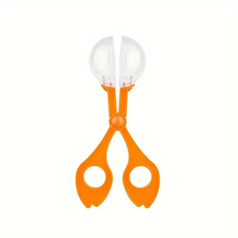 Bunte Große Perlen-Insektenfan – Outdoor Adventure Toys For Kids Bewertung und Preis